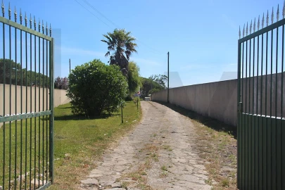 Moradia T5 para Venda em Santa Maria e São Miguel, São Martinho, São Pedro Penaferrim