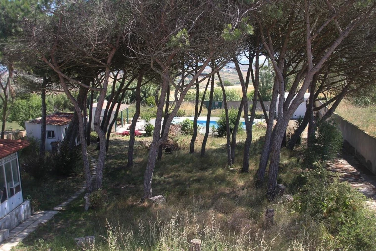Moradia T5 para Venda em Santa Maria e São Miguel, São Martinho, São Pedro Penaferrim Foto 37