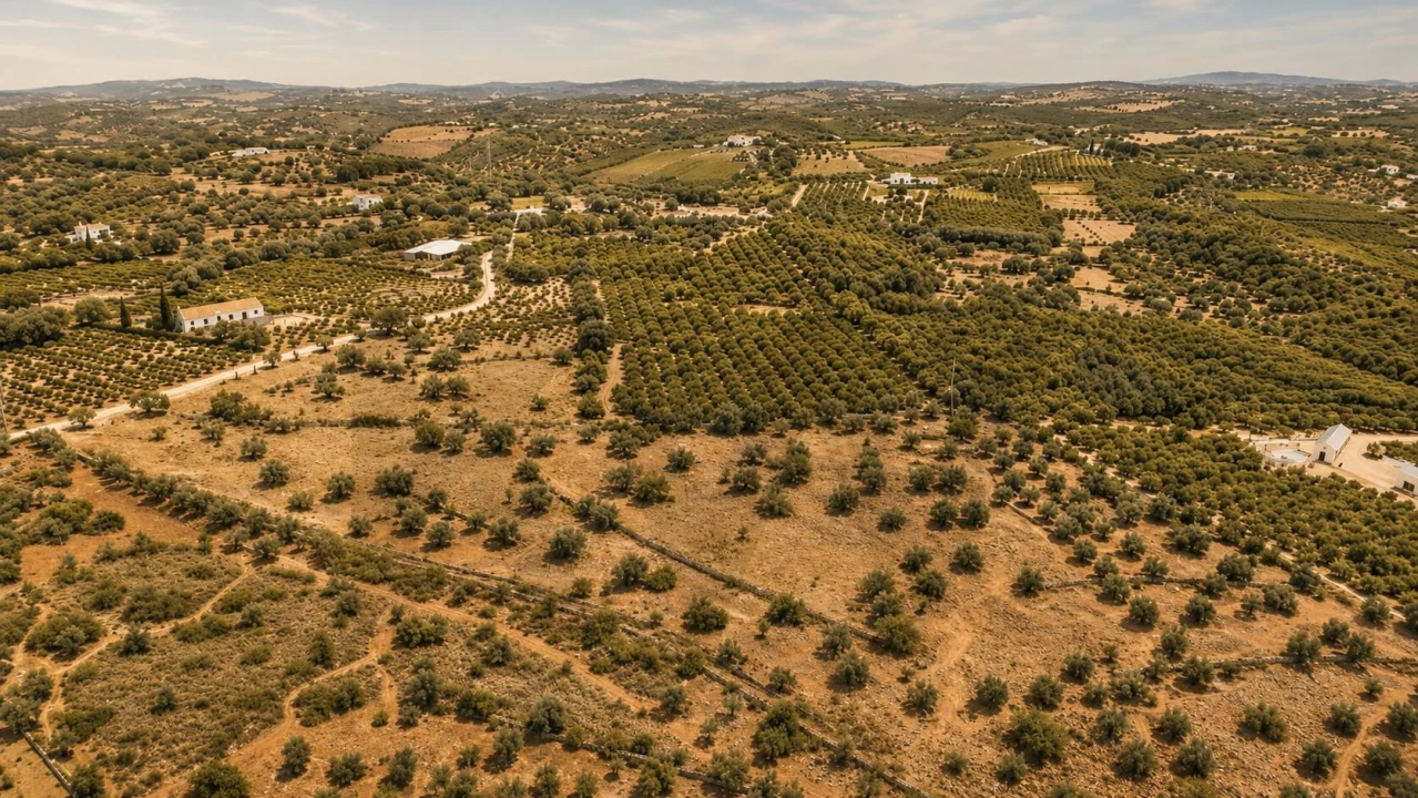 Terreno para Venda em Silves Foto 2
