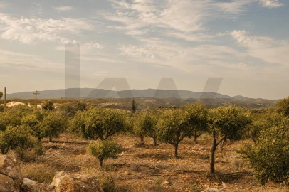 Terreno para Venda em Silves