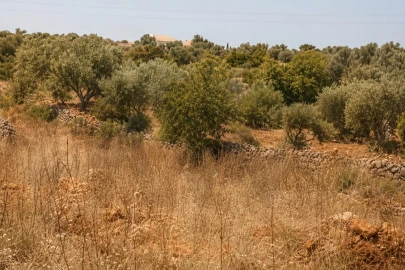 Terreno para Venda em Silves