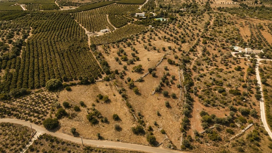 Terreno para Venda em Silves Foto 4