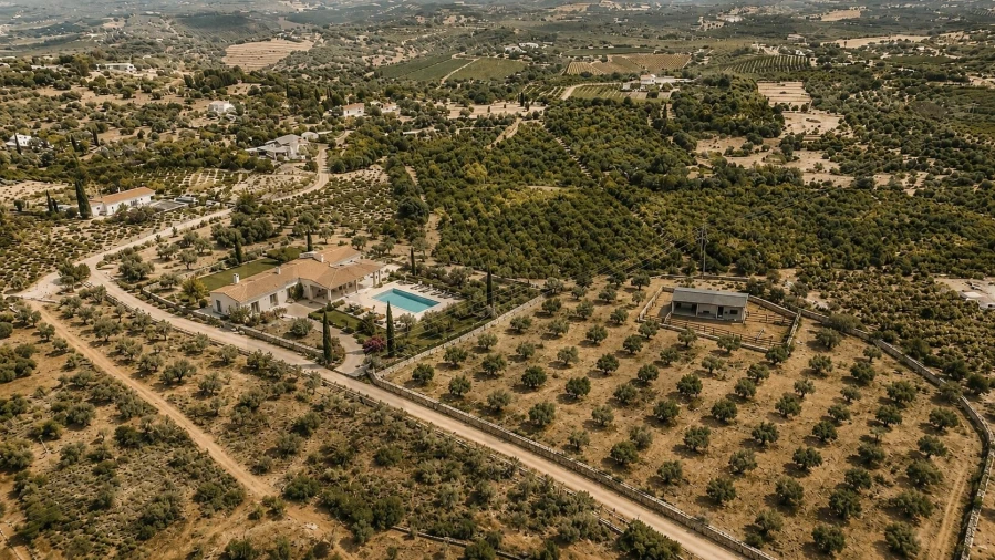 Terreno para Venda em Silves Foto 7