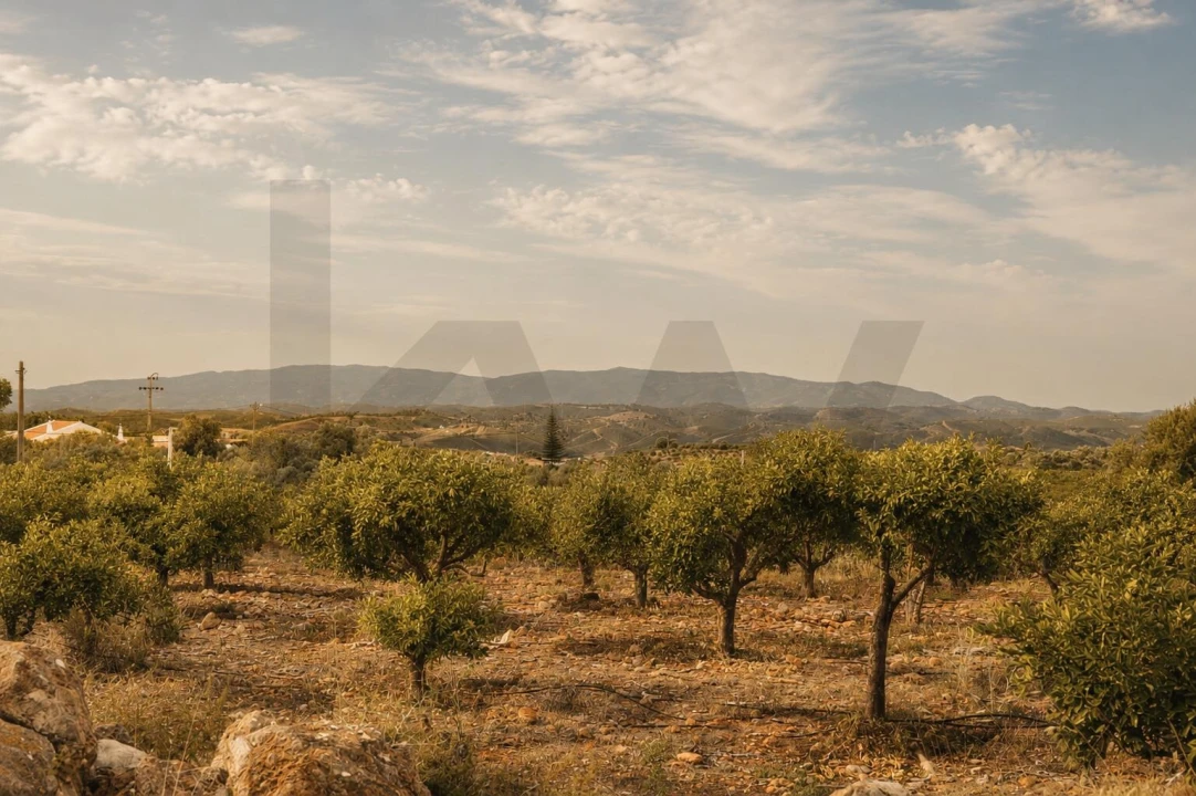 Terreno para Venda em Silves Foto 14