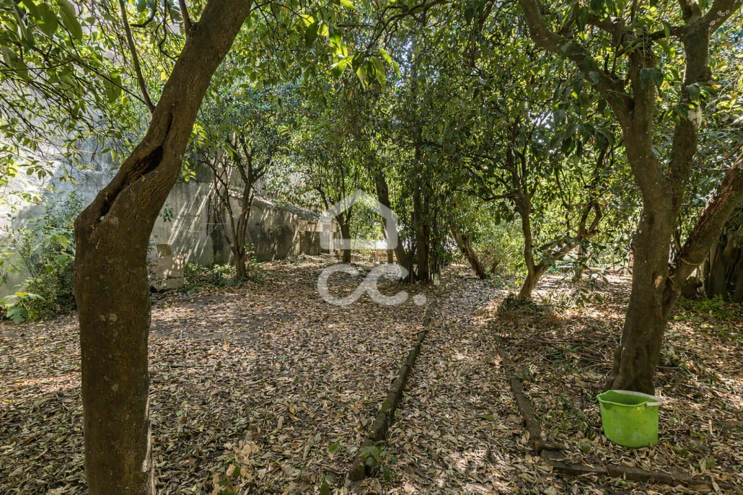 Moradia T6 para Venda em Évora (São Mamede, Sé, São Pedro e Santo Antão) Foto 30