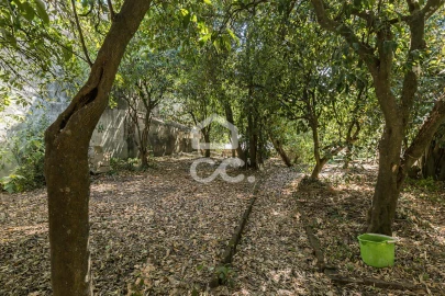Moradia T6 para Venda em Évora (São Mamede, Sé, São Pedro e Santo Antão)