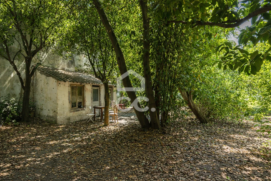 Moradia T6 para Venda em Évora (São Mamede, Sé, São Pedro e Santo Antão) Foto 32