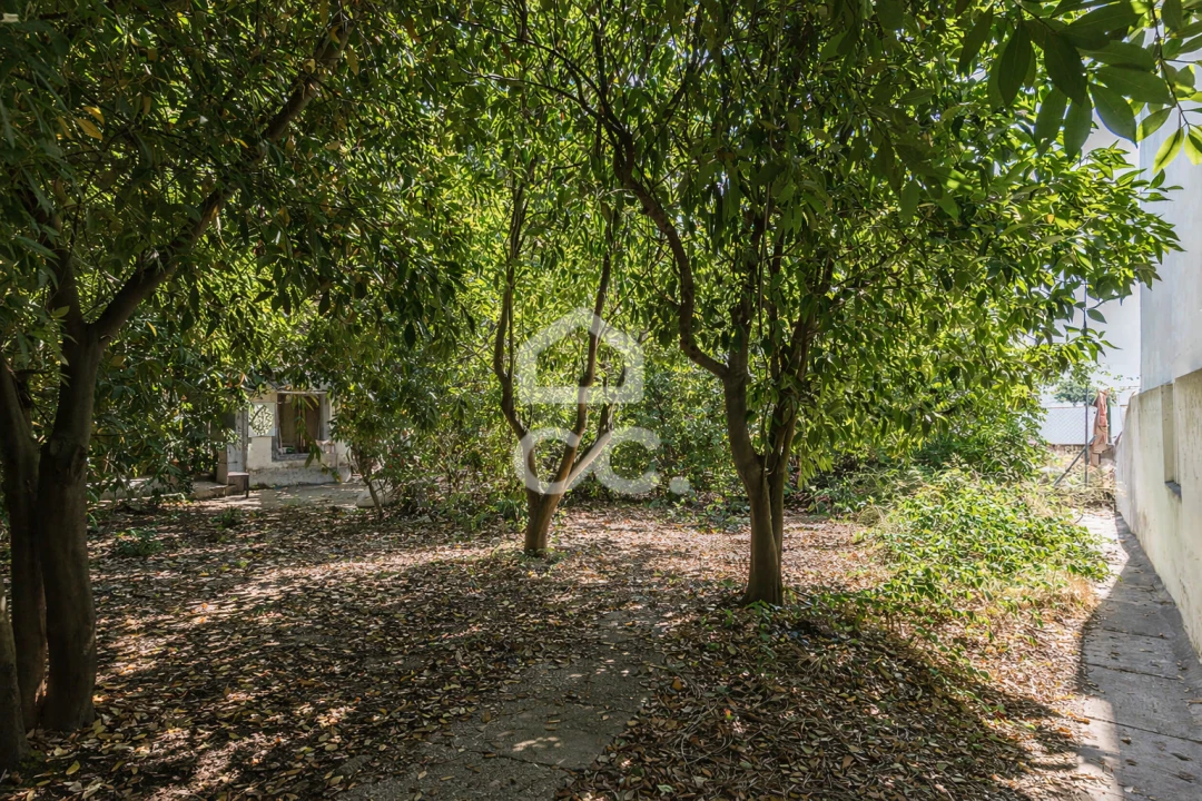 Moradia T6 para Venda em Évora (São Mamede, Sé, São Pedro e Santo Antão) Foto 34