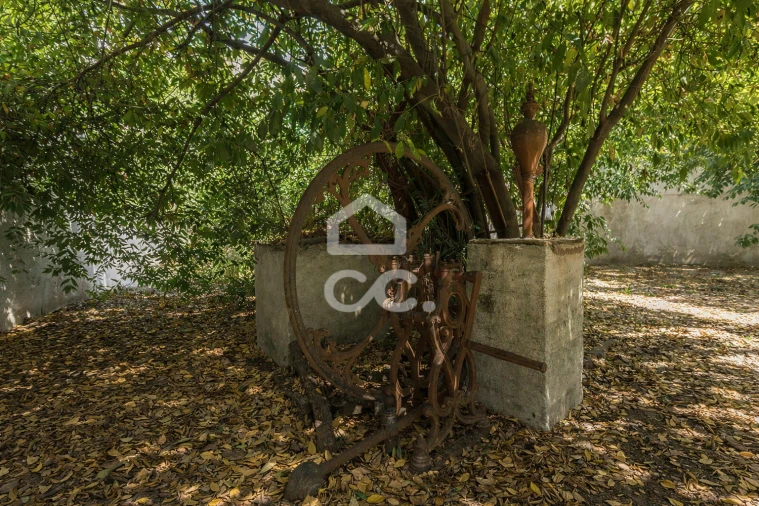 Moradia T6 para Venda em Évora (São Mamede, Sé, São Pedro e Santo Antão) Foto 35