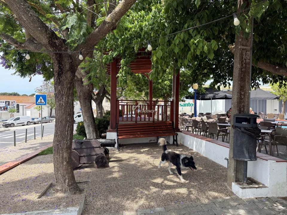 Moradia T4 para Venda em Melides Foto 32