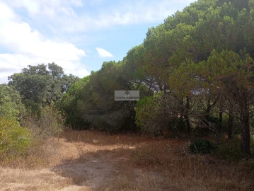 Terreno para Venda em Lagos (São Sebastião e Santa Maria)