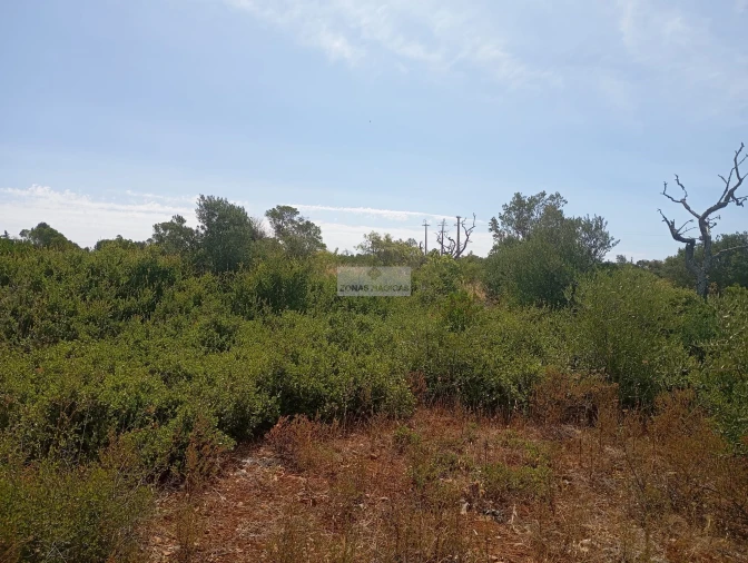 Terreno para Venda em Lagos (São Sebastião e Santa Maria) Foto 6