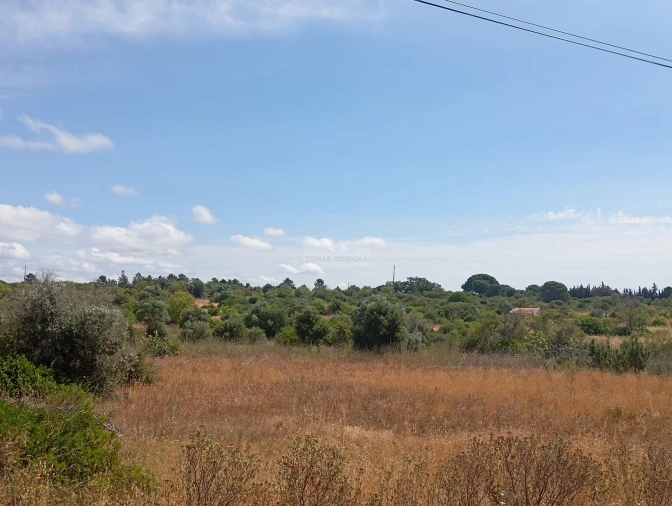 Terreno para Venda em Lagos (São Sebastião e Santa Maria) Foto 7