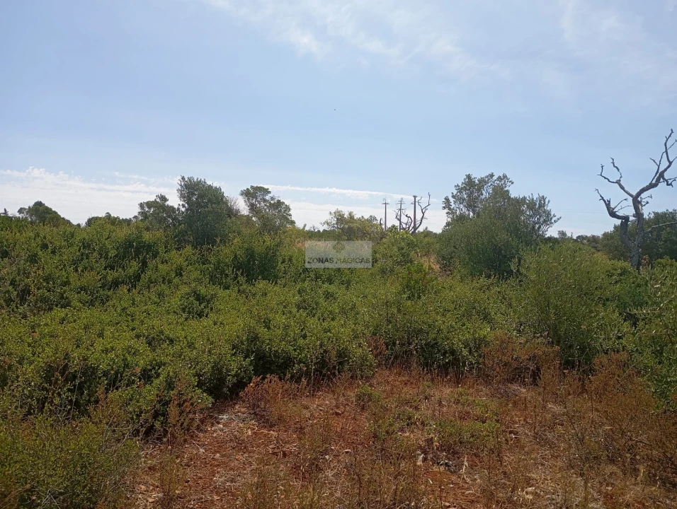 Terreno para Venda em Lagos (São Sebastião e Santa Maria) Foto 6