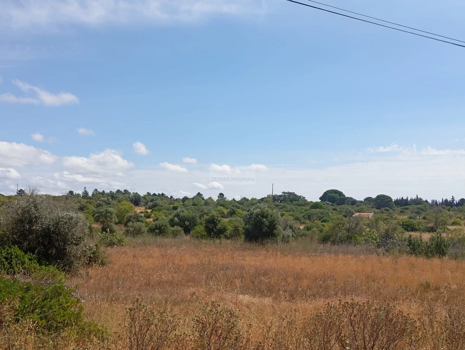 Terreno para Venda em Lagos (São Sebastião e Santa Maria) Foto 7