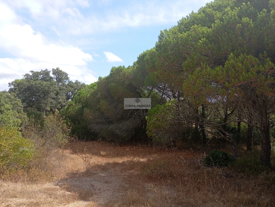 Terreno para Venda em Lagos (São Sebastião e Santa Maria) Foto 8