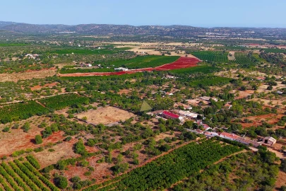 Quinta T8 para Venda em Paderne