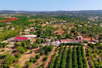 Quinta T8 para Venda em Paderne