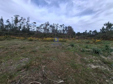 Terreno para Venda em Coimbrão
