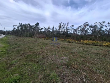 Terreno para Venda em Coimbrão