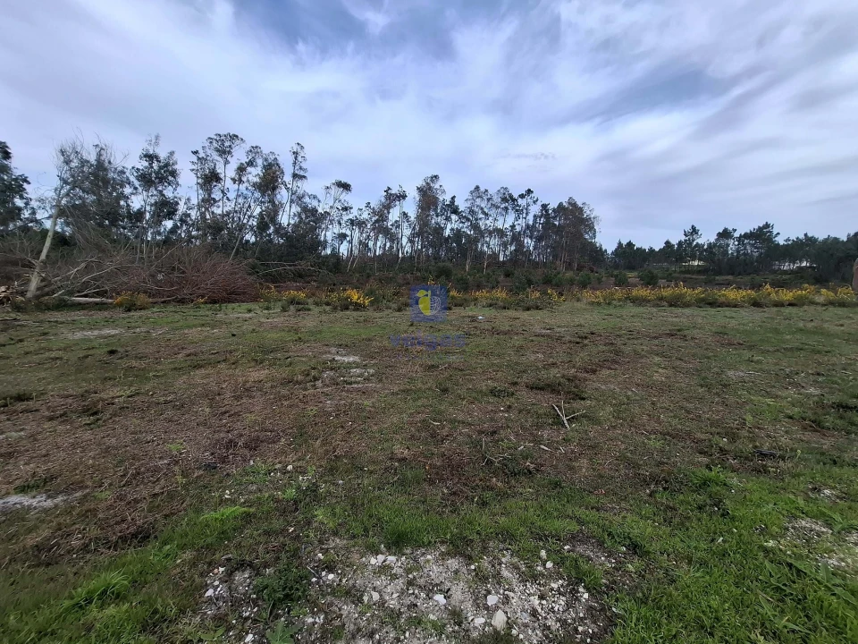 Terreno para Venda em Coimbrão Foto 8