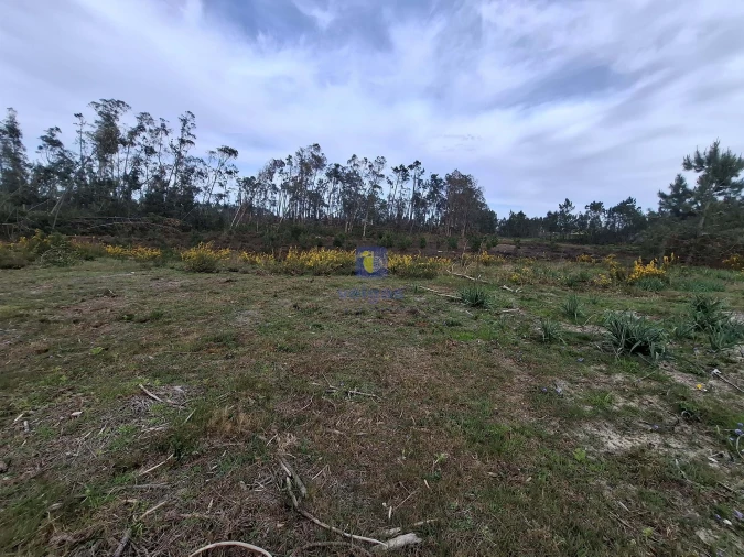 Terreno para Venda em Coimbrão Foto 4