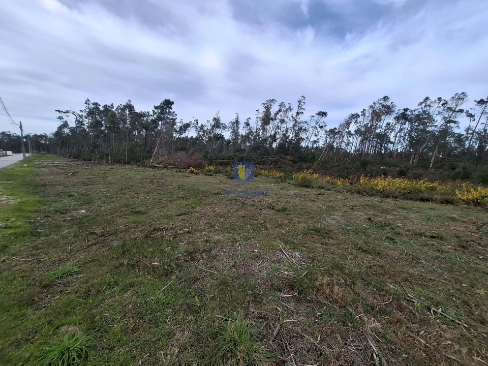 Terreno para Venda em Coimbrão Foto 10