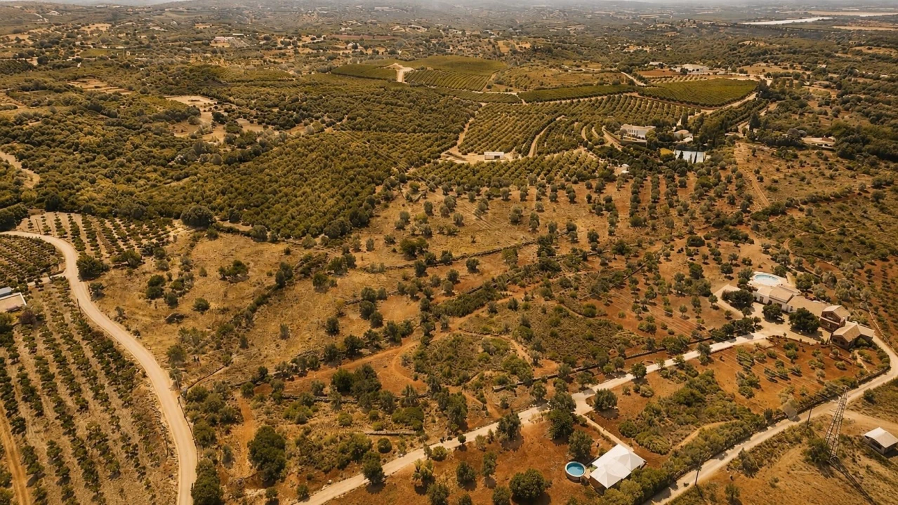 Terreno para Venda em Silves Foto 11