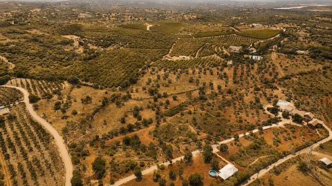 Terreno para Venda em Silves