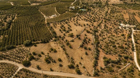 Terreno para Venda em Silves
