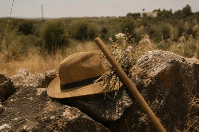 Terreno para Venda em Silves