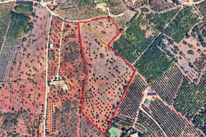 Terreno para Venda em Silves