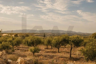 Terreno para Venda em Silves