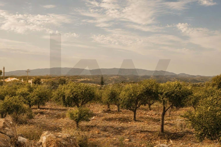 Terreno para Venda em Silves Foto 14
