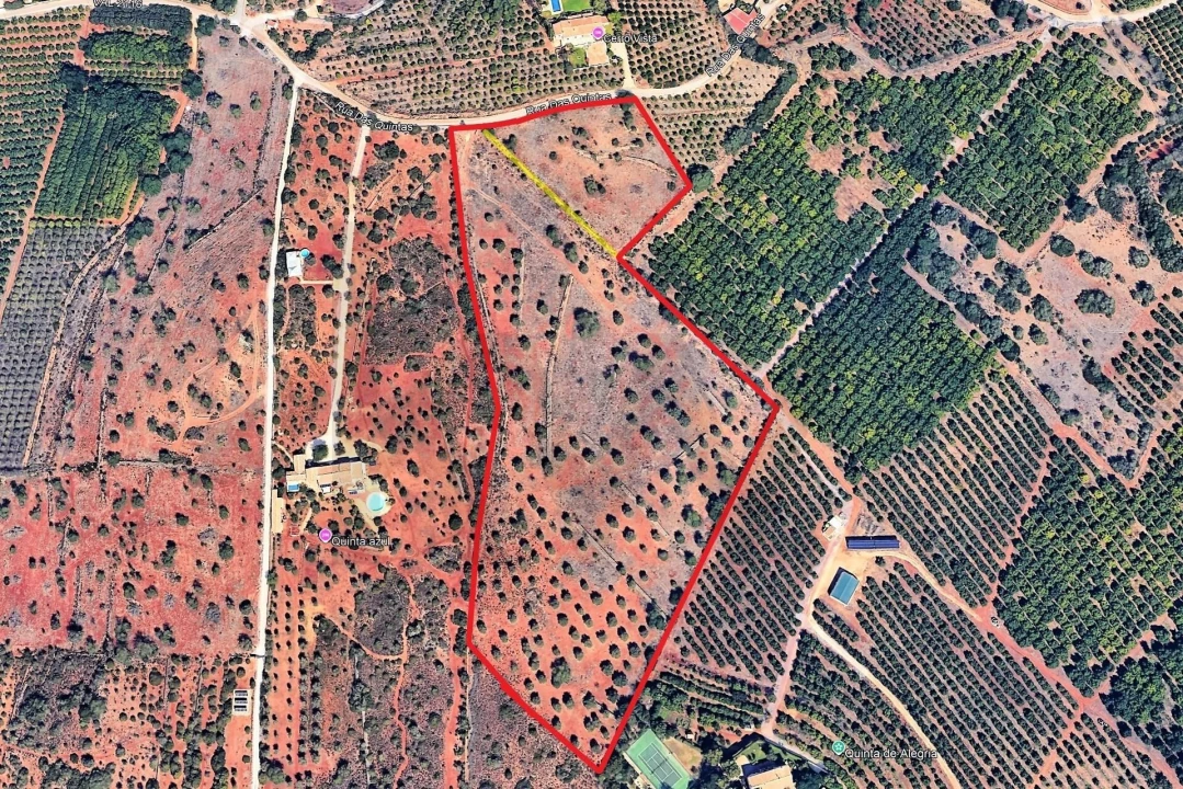 Terreno para Venda em Silves Foto 17