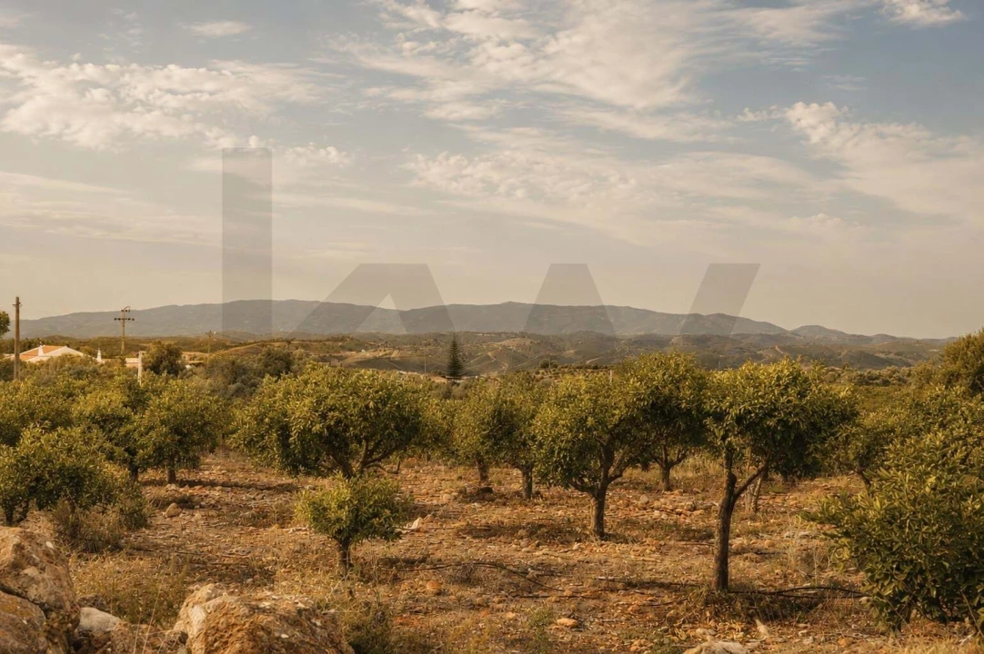 Terreno para Venda em Silves Foto 14