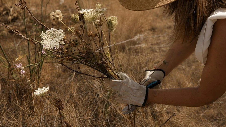Terreno para Venda em Silves