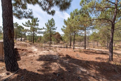Terreno para Venda em Carvalhal