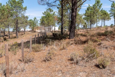 Terreno para Venda em Carvalhal