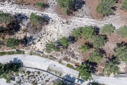 Terreno para Venda em Carvalhal