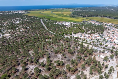 Terreno para Venda em Carvalhal