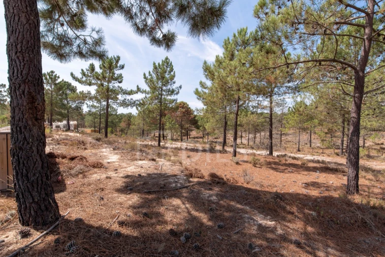 Terreno para Venda em Carvalhal Foto 3