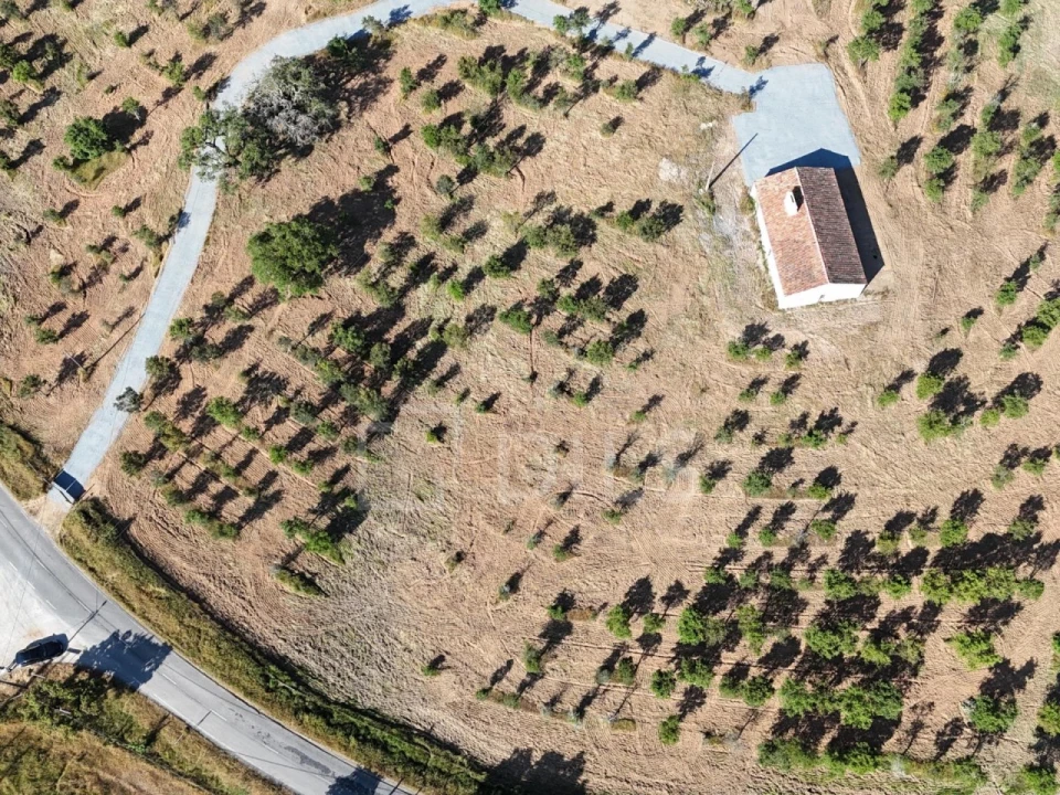 Moradia para Venda em Grândola e Santa Margarida da Serra Foto 11