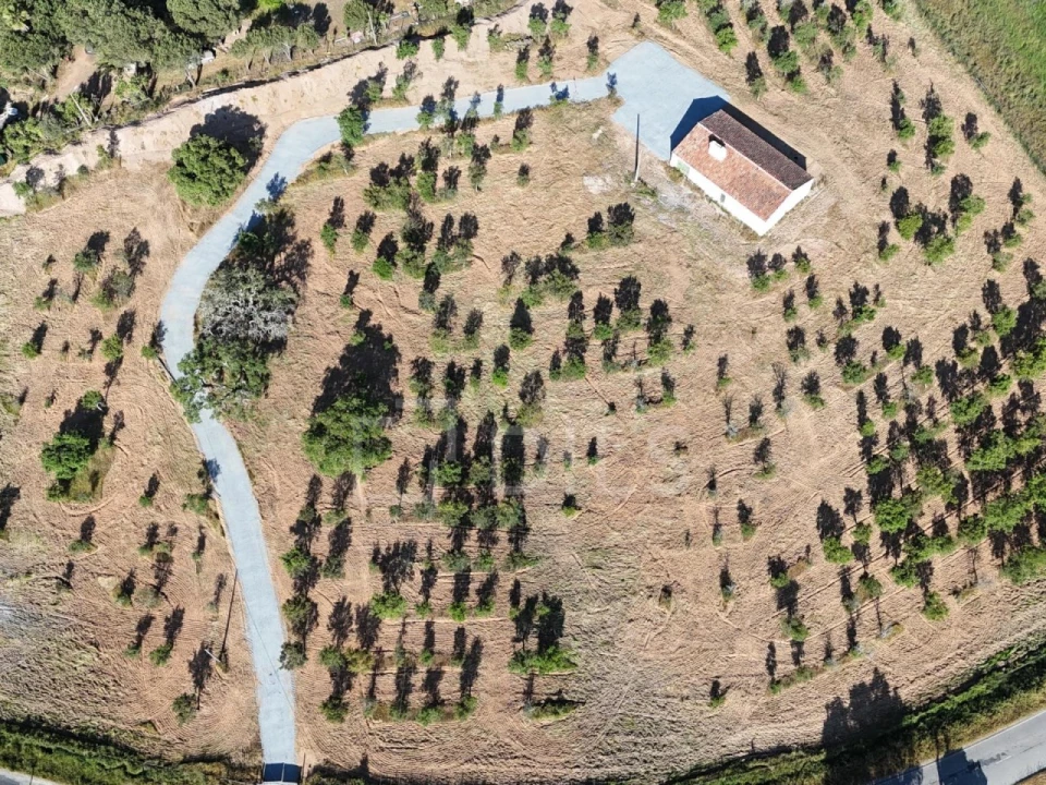 Moradia para Venda em Grândola e Santa Margarida da Serra Foto 18