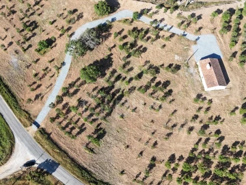 Moradia para Venda em Grândola e Santa Margarida da Serra