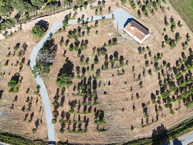 Moradia para Venda em Grândola e Santa Margarida da Serra Foto 18