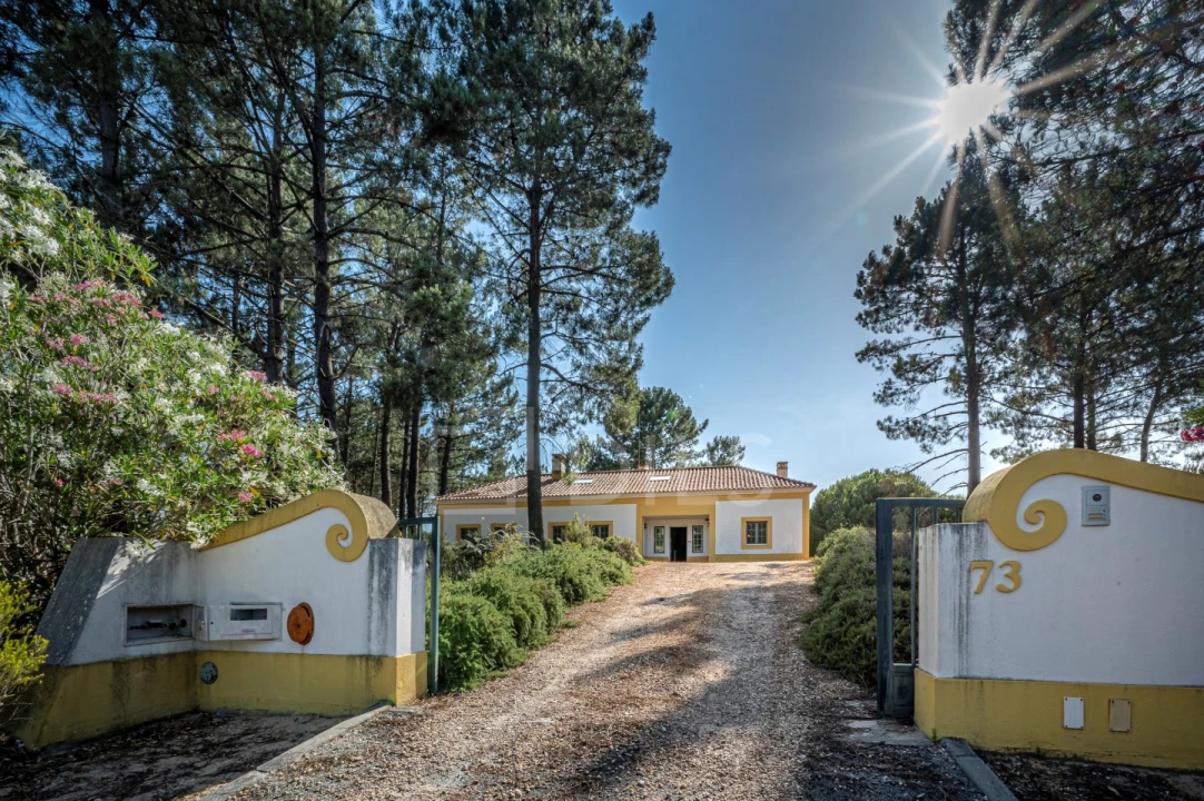 Moradia T6 para Venda em Santa Maria do Castelo e Santiago e Santa Susana Foto 23
