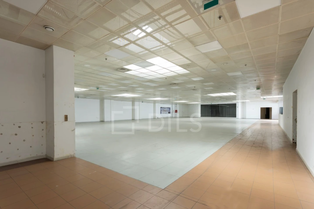 Armazém para Arrendamento em Avenidas Novas Foto 3