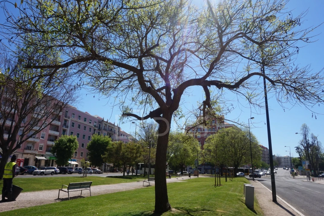 Loja para Arrendamento em Alvalade Foto 14