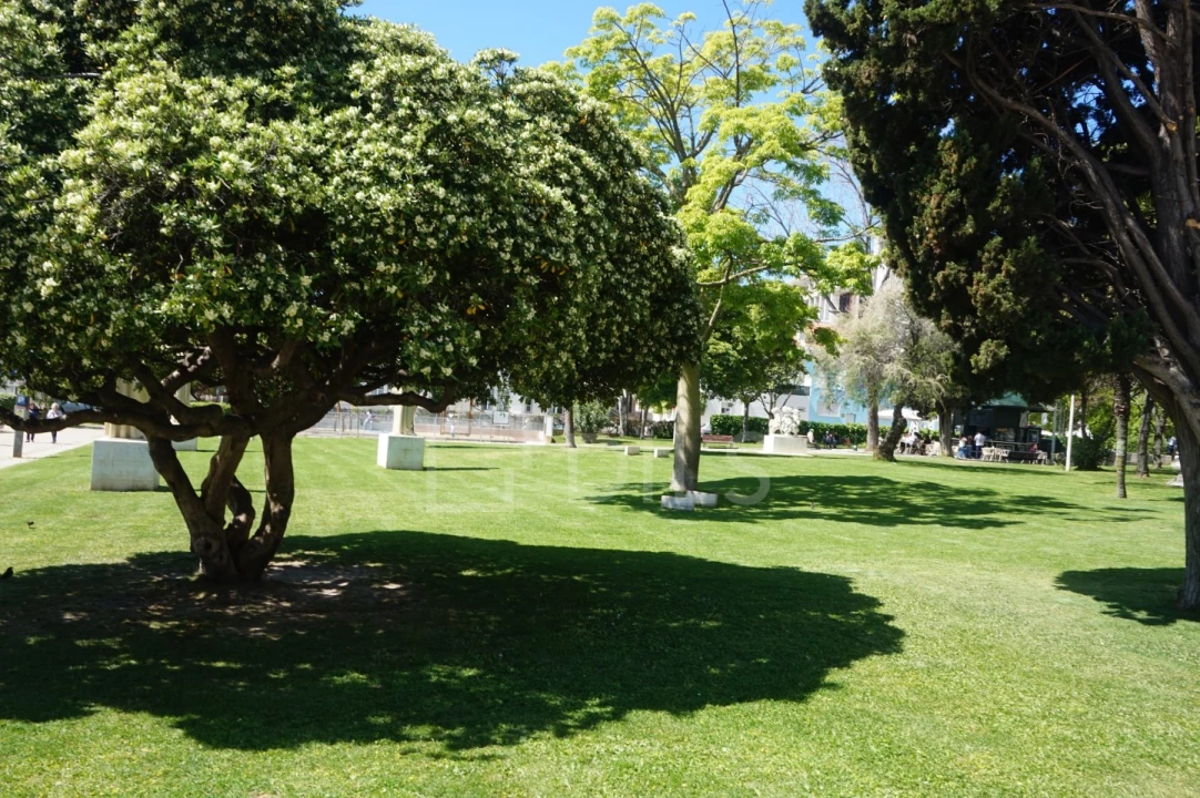 Loja para Arrendamento em Alvalade Foto 20